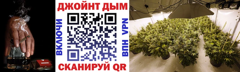 как найти закладки  Курганинск  Каннабис конопля 
